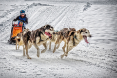 classic4_910_Ferdinand-Schrattenecker_Classic_Volle-Kraft-voraus