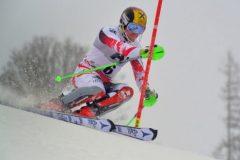 5-Platz_Andreas-Schachl_Sport_GoodBye-Marcel-Hirscher