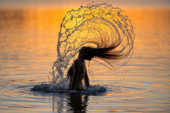 m1_909_Hermann-Hermeter_Mensch_Conny-Sunset