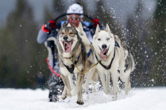 s2_906_Walter-Trausinger_Sport_Zielsprint