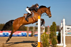 s5_910_Erich-Lukas_Sport_Horse-jump