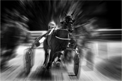 Sport5_906_Walter-Trausinger_Sport_Leader