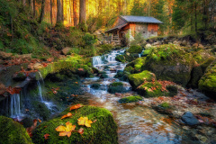 classic-5a_901_Wolfgang-Kurz_Classic_Herbstzeit